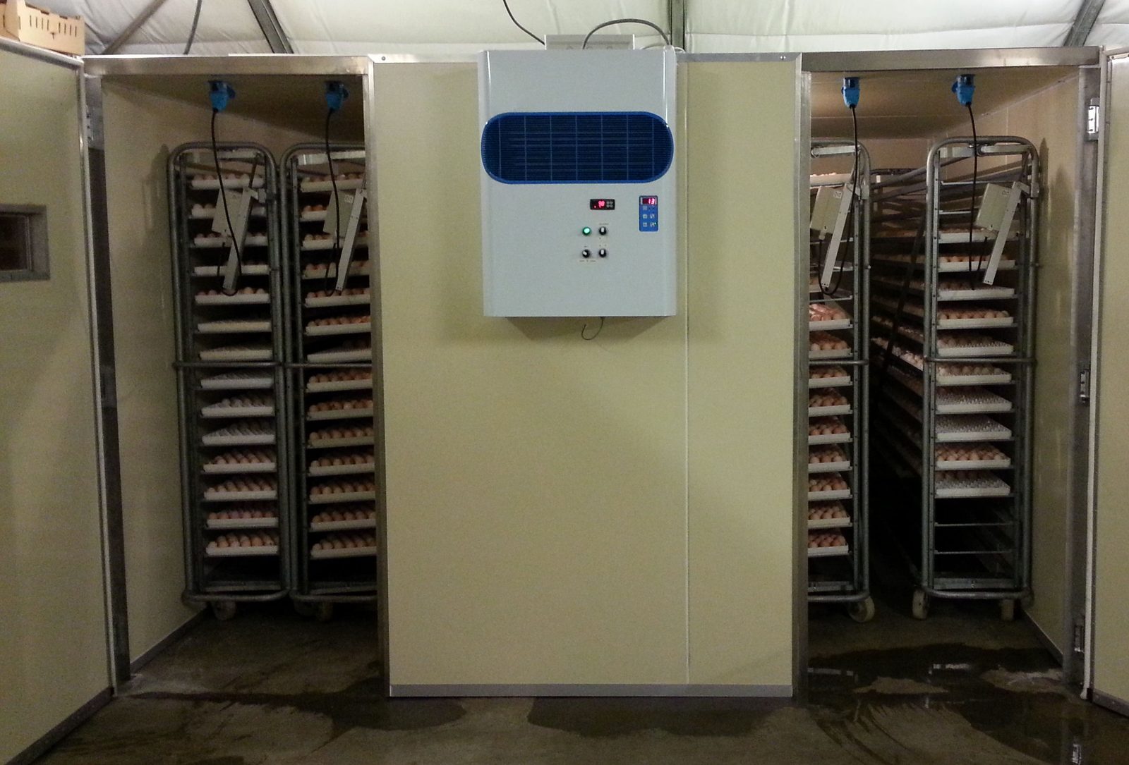 Incubateur — élevage Elsanor